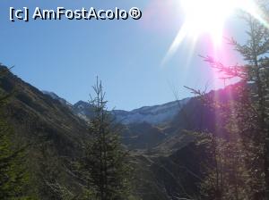 [P10] a fost o zi frumoasă de toamnă » foto by zlatna
 - 
<span class="allrVoted glyphicon glyphicon-heart hidden" id="av959035"></span>
<a class="m-l-10 hidden" id="sv959035" onclick="voting_Foto_DelVot(,959035,1790)" role="button">șterge vot <span class="glyphicon glyphicon-remove"></span></a>
<a id="v9959035" class=" c-red"  onclick="voting_Foto_SetVot(959035)" role="button"><span class="glyphicon glyphicon-heart-empty"></span> <b>LIKE</b> = Votează poza</a> <img class="hidden"  id="f959035W9" src="/imagini/loader.gif" border="0" /><span class="AjErrMes hidden" id="e959035ErM"></span>