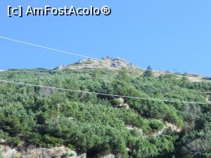 [P13] a fost o toamnă lungă » foto by zlatna
 - 
<span class="allrVoted glyphicon glyphicon-heart hidden" id="av959038"></span>
<a class="m-l-10 hidden" id="sv959038" onclick="voting_Foto_DelVot(,959038,1790)" role="button">șterge vot <span class="glyphicon glyphicon-remove"></span></a>
<a id="v9959038" class=" c-red"  onclick="voting_Foto_SetVot(959038)" role="button"><span class="glyphicon glyphicon-heart-empty"></span> <b>LIKE</b> = Votează poza</a> <img class="hidden"  id="f959038W9" src="/imagini/loader.gif" border="0" /><span class="AjErrMes hidden" id="e959038ErM"></span>