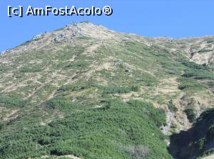 [P19] alt vârf din Făgăraș » foto by zlatna
 - 
<span class="allrVoted glyphicon glyphicon-heart hidden" id="av959044"></span>
<a class="m-l-10 hidden" id="sv959044" onclick="voting_Foto_DelVot(,959044,1790)" role="button">șterge vot <span class="glyphicon glyphicon-remove"></span></a>
<a id="v9959044" class=" c-red"  onclick="voting_Foto_SetVot(959044)" role="button"><span class="glyphicon glyphicon-heart-empty"></span> <b>LIKE</b> = Votează poza</a> <img class="hidden"  id="f959044W9" src="/imagini/loader.gif" border="0" /><span class="AjErrMes hidden" id="e959044ErM"></span>