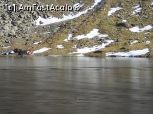 [P27] gheața era destul de groasă » foto by zlatna
 - 
<span class="allrVoted glyphicon glyphicon-heart hidden" id="av959052"></span>
<a class="m-l-10 hidden" id="sv959052" onclick="voting_Foto_DelVot(,959052,1790)" role="button">șterge vot <span class="glyphicon glyphicon-remove"></span></a>
<a id="v9959052" class=" c-red"  onclick="voting_Foto_SetVot(959052)" role="button"><span class="glyphicon glyphicon-heart-empty"></span> <b>LIKE</b> = Votează poza</a> <img class="hidden"  id="f959052W9" src="/imagini/loader.gif" border="0" /><span class="AjErrMes hidden" id="e959052ErM"></span>