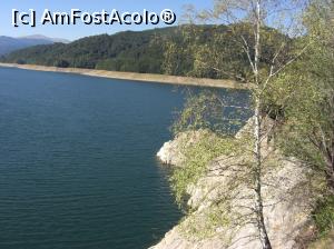 [P10] Parte din lac » foto by Yersinia Pestis
 - 
<span class="allrVoted glyphicon glyphicon-heart hidden" id="av818167"></span>
<a class="m-l-10 hidden" id="sv818167" onclick="voting_Foto_DelVot(,818167,1790)" role="button">șterge vot <span class="glyphicon glyphicon-remove"></span></a>
<a id="v9818167" class=" c-red"  onclick="voting_Foto_SetVot(818167)" role="button"><span class="glyphicon glyphicon-heart-empty"></span> <b>LIKE</b> = Votează poza</a> <img class="hidden"  id="f818167W9" src="/imagini/loader.gif" border="0" /><span class="AjErrMes hidden" id="e818167ErM"></span>