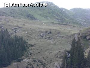 [P13]  -- <small>// FĂRĂ DESCRIERE</small> » foto by Yersinia Pestis
 - 
<span class="allrVoted glyphicon glyphicon-heart hidden" id="av818170"></span>
<a class="m-l-10 hidden" id="sv818170" onclick="voting_Foto_DelVot(,818170,1790)" role="button">șterge vot <span class="glyphicon glyphicon-remove"></span></a>
<a id="v9818170" class=" c-red"  onclick="voting_Foto_SetVot(818170)" role="button"><span class="glyphicon glyphicon-heart-empty"></span> <b>LIKE</b> = Votează poza</a> <img class="hidden"  id="f818170W9" src="/imagini/loader.gif" border="0" /><span class="AjErrMes hidden" id="e818170ErM"></span>