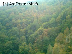 [P23] PĂdurea se pregătea de toamnă » foto by Yersinia Pestis
 - 
<span class="allrVoted glyphicon glyphicon-heart hidden" id="av818184"></span>
<a class="m-l-10 hidden" id="sv818184" onclick="voting_Foto_DelVot(,818184,1790)" role="button">șterge vot <span class="glyphicon glyphicon-remove"></span></a>
<a id="v9818184" class=" c-red"  onclick="voting_Foto_SetVot(818184)" role="button"><span class="glyphicon glyphicon-heart-empty"></span> <b>LIKE</b> = Votează poza</a> <img class="hidden"  id="f818184W9" src="/imagini/loader.gif" border="0" /><span class="AjErrMes hidden" id="e818184ErM"></span>