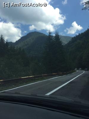 [P13] Puțin mai sus de Vidraru » foto by Yersinia Pestis
 - 
<span class="allrVoted glyphicon glyphicon-heart hidden" id="av903845"></span>
<a class="m-l-10 hidden" id="sv903845" onclick="voting_Foto_DelVot(,903845,1790)" role="button">șterge vot <span class="glyphicon glyphicon-remove"></span></a>
<a id="v9903845" class=" c-red"  onclick="voting_Foto_SetVot(903845)" role="button"><span class="glyphicon glyphicon-heart-empty"></span> <b>LIKE</b> = Votează poza</a> <img class="hidden"  id="f903845W9" src="/imagini/loader.gif" border="0" /><span class="AjErrMes hidden" id="e903845ErM"></span>