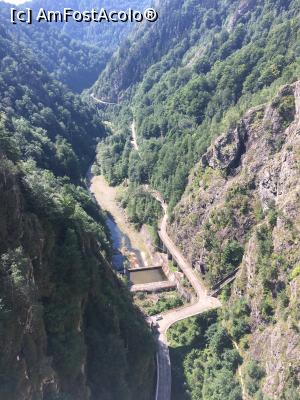 [P08] Așa se vede de sus, de pe baraj » foto by Yersinia Pestis
 - 
<span class="allrVoted glyphicon glyphicon-heart hidden" id="av903840"></span>
<a class="m-l-10 hidden" id="sv903840" onclick="voting_Foto_DelVot(,903840,1790)" role="button">șterge vot <span class="glyphicon glyphicon-remove"></span></a>
<a id="v9903840" class=" c-red"  onclick="voting_Foto_SetVot(903840)" role="button"><span class="glyphicon glyphicon-heart-empty"></span> <b>LIKE</b> = Votează poza</a> <img class="hidden"  id="f903840W9" src="/imagini/loader.gif" border="0" /><span class="AjErrMes hidden" id="e903840ErM"></span>