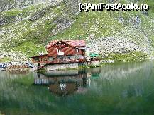[P04] LACUL BÂLEA ÎN CARE SE OGLINDEȘTE CĂBĂNUȚA » foto by mirelopodu*
 - 
<span class="allrVoted glyphicon glyphicon-heart hidden" id="av32839"></span>
<a class="m-l-10 hidden" id="sv32839" onclick="voting_Foto_DelVot(,32839,1790)" role="button">șterge vot <span class="glyphicon glyphicon-remove"></span></a>
<a id="v932839" class=" c-red"  onclick="voting_Foto_SetVot(32839)" role="button"><span class="glyphicon glyphicon-heart-empty"></span> <b>LIKE</b> = Votează poza</a> <img class="hidden"  id="f32839W9" src="/imagini/loader.gif" border="0" /><span class="AjErrMes hidden" id="e32839ErM"></span>