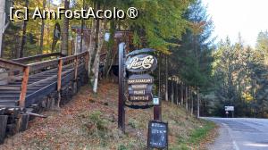 [P12] Transfăgărășan octombrie 2024 Am fost acolo » foto by elenaadina
 - 
<span class="allrVoted glyphicon glyphicon-heart hidden" id="av1452998"></span>
<a class="m-l-10 hidden" id="sv1452998" onclick="voting_Foto_DelVot(,1452998,1790)" role="button">șterge vot <span class="glyphicon glyphicon-remove"></span></a>
<a id="v91452998" class=" c-red"  onclick="voting_Foto_SetVot(1452998)" role="button"><span class="glyphicon glyphicon-heart-empty"></span> <b>LIKE</b> = Votează poza</a> <img class="hidden"  id="f1452998W9" src="/imagini/loader.gif" border="0" /><span class="AjErrMes hidden" id="e1452998ErM"></span>