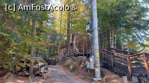 [P13] Transfăgărășan octombrie 2024 Am fost acolo » foto by elenaadina
 - 
<span class="allrVoted glyphicon glyphicon-heart hidden" id="av1452999"></span>
<a class="m-l-10 hidden" id="sv1452999" onclick="voting_Foto_DelVot(,1452999,1790)" role="button">șterge vot <span class="glyphicon glyphicon-remove"></span></a>
<a id="v91452999" class=" c-red"  onclick="voting_Foto_SetVot(1452999)" role="button"><span class="glyphicon glyphicon-heart-empty"></span> <b>LIKE</b> = Votează poza</a> <img class="hidden"  id="f1452999W9" src="/imagini/loader.gif" border="0" /><span class="AjErrMes hidden" id="e1452999ErM"></span>