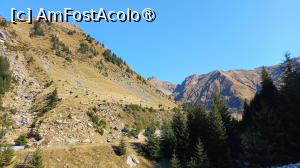 [P14] Transfăgărășan octombrie 2024 Am fost acolo » foto by elenaadina
 - 
<span class="allrVoted glyphicon glyphicon-heart hidden" id="av1453000"></span>
<a class="m-l-10 hidden" id="sv1453000" onclick="voting_Foto_DelVot(,1453000,1790)" role="button">șterge vot <span class="glyphicon glyphicon-remove"></span></a>
<a id="v91453000" class=" c-red"  onclick="voting_Foto_SetVot(1453000)" role="button"><span class="glyphicon glyphicon-heart-empty"></span> <b>LIKE</b> = Votează poza</a> <img class="hidden"  id="f1453000W9" src="/imagini/loader.gif" border="0" /><span class="AjErrMes hidden" id="e1453000ErM"></span>