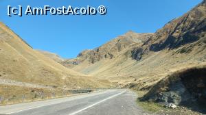 [P15] Transfăgărășan octombrie 2024 Am fost acolo » foto by elenaadina
 - 
<span class="allrVoted glyphicon glyphicon-heart hidden" id="av1453001"></span>
<a class="m-l-10 hidden" id="sv1453001" onclick="voting_Foto_DelVot(,1453001,1790)" role="button">șterge vot <span class="glyphicon glyphicon-remove"></span></a>
<a id="v91453001" class=" c-red"  onclick="voting_Foto_SetVot(1453001)" role="button"><span class="glyphicon glyphicon-heart-empty"></span> <b>LIKE</b> = Votează poza</a> <img class="hidden"  id="f1453001W9" src="/imagini/loader.gif" border="0" /><span class="AjErrMes hidden" id="e1453001ErM"></span>