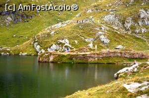 [P17] Lacul » foto by makuy*
 - 
<span class="allrVoted glyphicon glyphicon-heart hidden" id="av788001"></span>
<a class="m-l-10 hidden" id="sv788001" onclick="voting_Foto_DelVot(,788001,1790)" role="button">șterge vot <span class="glyphicon glyphicon-remove"></span></a>
<a id="v9788001" class=" c-red"  onclick="voting_Foto_SetVot(788001)" role="button"><span class="glyphicon glyphicon-heart-empty"></span> <b>LIKE</b> = Votează poza</a> <img class="hidden"  id="f788001W9" src="/imagini/loader.gif" border="0" /><span class="AjErrMes hidden" id="e788001ErM"></span>