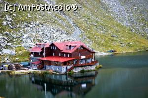 [P18] La Cabană, detaliu » foto by makuy*
 - 
<span class="allrVoted glyphicon glyphicon-heart hidden" id="av788002"></span>
<a class="m-l-10 hidden" id="sv788002" onclick="voting_Foto_DelVot(,788002,1790)" role="button">șterge vot <span class="glyphicon glyphicon-remove"></span></a>
<a id="v9788002" class=" c-red"  onclick="voting_Foto_SetVot(788002)" role="button"><span class="glyphicon glyphicon-heart-empty"></span> <b>LIKE</b> = Votează poza</a> <img class="hidden"  id="f788002W9" src="/imagini/loader.gif" border="0" /><span class="AjErrMes hidden" id="e788002ErM"></span>