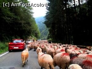 [P26] Situația devine albastră...  » foto by makuy*
 - 
<span class="allrVoted glyphicon glyphicon-heart hidden" id="av788010"></span>
<a class="m-l-10 hidden" id="sv788010" onclick="voting_Foto_DelVot(,788010,1790)" role="button">șterge vot <span class="glyphicon glyphicon-remove"></span></a>
<a id="v9788010" class=" c-red"  onclick="voting_Foto_SetVot(788010)" role="button"><span class="glyphicon glyphicon-heart-empty"></span> <b>LIKE</b> = Votează poza</a> <img class="hidden"  id="f788010W9" src="/imagini/loader.gif" border="0" /><span class="AjErrMes hidden" id="e788010ErM"></span>