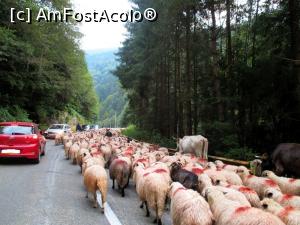 [P27] Chiar prea albastră!  » foto by makuy*
 - 
<span class="allrVoted glyphicon glyphicon-heart hidden" id="av788011"></span>
<a class="m-l-10 hidden" id="sv788011" onclick="voting_Foto_DelVot(,788011,1790)" role="button">șterge vot <span class="glyphicon glyphicon-remove"></span></a>
<a id="v9788011" class=" c-red"  onclick="voting_Foto_SetVot(788011)" role="button"><span class="glyphicon glyphicon-heart-empty"></span> <b>LIKE</b> = Votează poza</a> <img class="hidden"  id="f788011W9" src="/imagini/loader.gif" border="0" /><span class="AjErrMes hidden" id="e788011ErM"></span>