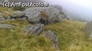 [P01] spre nori...  » foto by madaht
 - 
<span class="allrVoted glyphicon glyphicon-heart hidden" id="av890255"></span>
<a class="m-l-10 hidden" id="sv890255" onclick="voting_Foto_DelVot(,890255,1790)" role="button">șterge vot <span class="glyphicon glyphicon-remove"></span></a>
<a id="v9890255" class=" c-red"  onclick="voting_Foto_SetVot(890255)" role="button"><span class="glyphicon glyphicon-heart-empty"></span> <b>LIKE</b> = Votează poza</a> <img class="hidden"  id="f890255W9" src="/imagini/loader.gif" border="0" /><span class="AjErrMes hidden" id="e890255ErM"></span>