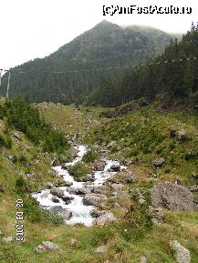 [P16] Peisaj montan pe Transfagarasan, cu mici izvoare jucause ce se 'coboara' la vale...mai lipsesc oitele si ciobanelul...Ah..dar eram noi si cu catelul turmei... » foto by ileanaxperta*
 - 
<span class="allrVoted glyphicon glyphicon-heart hidden" id="av26941"></span>
<a class="m-l-10 hidden" id="sv26941" onclick="voting_Foto_DelVot(,26941,1790)" role="button">șterge vot <span class="glyphicon glyphicon-remove"></span></a>
<a id="v926941" class=" c-red"  onclick="voting_Foto_SetVot(26941)" role="button"><span class="glyphicon glyphicon-heart-empty"></span> <b>LIKE</b> = Votează poza</a> <img class="hidden"  id="f26941W9" src="/imagini/loader.gif" border="0" /><span class="AjErrMes hidden" id="e26941ErM"></span>