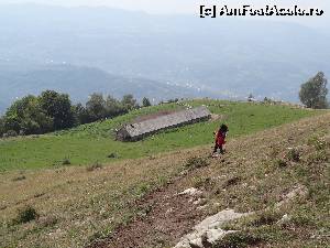 [P14] Saivanul urias de pe Ghitu. Se poate vedea si pe Google Earth :) » foto by wolf2001*
 - 
<span class="allrVoted glyphicon glyphicon-heart hidden" id="av581917"></span>
<a class="m-l-10 hidden" id="sv581917" onclick="voting_Foto_DelVot(,581917,1790)" role="button">șterge vot <span class="glyphicon glyphicon-remove"></span></a>
<a id="v9581917" class=" c-red"  onclick="voting_Foto_SetVot(581917)" role="button"><span class="glyphicon glyphicon-heart-empty"></span> <b>LIKE</b> = Votează poza</a> <img class="hidden"  id="f581917W9" src="/imagini/loader.gif" border="0" /><span class="AjErrMes hidden" id="e581917ErM"></span>