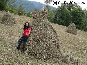 [P18]  -- <small>// FĂRĂ DESCRIERE</small> » foto by wolf2001*
 - 
<span class="allrVoted glyphicon glyphicon-heart hidden" id="av581921"></span>
<a class="m-l-10 hidden" id="sv581921" onclick="voting_Foto_DelVot(,581921,1790)" role="button">șterge vot <span class="glyphicon glyphicon-remove"></span></a>
<a id="v9581921" class=" c-red"  onclick="voting_Foto_SetVot(581921)" role="button"><span class="glyphicon glyphicon-heart-empty"></span> <b>LIKE</b> = Votează poza</a> <img class="hidden"  id="f581921W9" src="/imagini/loader.gif" border="0" /><span class="AjErrMes hidden" id="e581921ErM"></span>