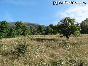 [P04] Merita pictat?? » foto by wolf2001*
 - 
<span class="allrVoted glyphicon glyphicon-heart hidden" id="av581906"></span>
<a class="m-l-10 hidden" id="sv581906" onclick="voting_Foto_DelVot(,581906,1790)" role="button">șterge vot <span class="glyphicon glyphicon-remove"></span></a>
<a id="v9581906" class=" c-red"  onclick="voting_Foto_SetVot(581906)" role="button"><span class="glyphicon glyphicon-heart-empty"></span> <b>LIKE</b> = Votează poza</a> <img class="hidden"  id="f581906W9" src="/imagini/loader.gif" border="0" /><span class="AjErrMes hidden" id="e581906ErM"></span>