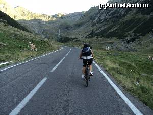 [P15]  -- <small>// FĂRĂ DESCRIERE</small> » foto by wolf2001*
 - 
<span class="allrVoted glyphicon glyphicon-heart hidden" id="av588815"></span>
<a class="m-l-10 hidden" id="sv588815" onclick="voting_Foto_DelVot(,588815,1790)" role="button">șterge vot <span class="glyphicon glyphicon-remove"></span></a>
<a id="v9588815" class=" c-red"  onclick="voting_Foto_SetVot(588815)" role="button"><span class="glyphicon glyphicon-heart-empty"></span> <b>LIKE</b> = Votează poza</a> <img class="hidden"  id="f588815W9" src="/imagini/loader.gif" border="0" /><span class="AjErrMes hidden" id="e588815ErM"></span>