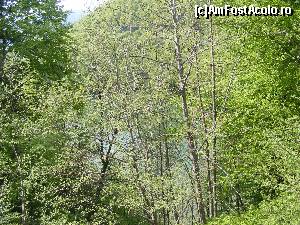 [P01] Lacul vazut printre pomii proaspat treziti la viata.  » foto by liviu49
 - 
<span class="allrVoted glyphicon glyphicon-heart hidden" id="av679075"></span>
<a class="m-l-10 hidden" id="sv679075" onclick="voting_Foto_DelVot(,679075,1790)" role="button">șterge vot <span class="glyphicon glyphicon-remove"></span></a>
<a id="v9679075" class=" c-red"  onclick="voting_Foto_SetVot(679075)" role="button"><span class="glyphicon glyphicon-heart-empty"></span> <b>LIKE</b> = Votează poza</a> <img class="hidden"  id="f679075W9" src="/imagini/loader.gif" border="0" /><span class="AjErrMes hidden" id="e679075ErM"></span>