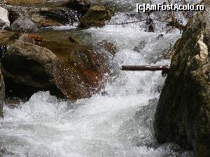 [P14] Paraul care imi aminteste de peisajele din Austria, cu un an in urma.  » foto by liviu49
 - 
<span class="allrVoted glyphicon glyphicon-heart hidden" id="av679088"></span>
<a class="m-l-10 hidden" id="sv679088" onclick="voting_Foto_DelVot(,679088,1790)" role="button">șterge vot <span class="glyphicon glyphicon-remove"></span></a>
<a id="v9679088" class=" c-red"  onclick="voting_Foto_SetVot(679088)" role="button"><span class="glyphicon glyphicon-heart-empty"></span> <b>LIKE</b> = Votează poza</a> <img class="hidden"  id="f679088W9" src="/imagini/loader.gif" border="0" /><span class="AjErrMes hidden" id="e679088ErM"></span>