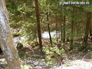 [P15] Am crezut ca suntem in Austria, dar am constatat repede ca suntem in Romania.  » foto by liviu49
 - 
<span class="allrVoted glyphicon glyphicon-heart hidden" id="av679089"></span>
<a class="m-l-10 hidden" id="sv679089" onclick="voting_Foto_DelVot(,679089,1790)" role="button">șterge vot <span class="glyphicon glyphicon-remove"></span></a>
<a id="v9679089" class=" c-red"  onclick="voting_Foto_SetVot(679089)" role="button"><span class="glyphicon glyphicon-heart-empty"></span> <b>LIKE</b> = Votează poza</a> <img class="hidden"  id="f679089W9" src="/imagini/loader.gif" border="0" /><span class="AjErrMes hidden" id="e679089ErM"></span>