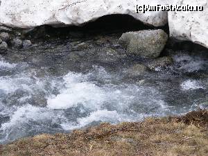 [P29] Raul Capra, croindu-si drum prin zapada.  » foto by liviu49
 - 
<span class="allrVoted glyphicon glyphicon-heart hidden" id="av679123"></span>
<a class="m-l-10 hidden" id="sv679123" onclick="voting_Foto_DelVot(,679123,1790)" role="button">șterge vot <span class="glyphicon glyphicon-remove"></span></a>
<a id="v9679123" class=" c-red"  onclick="voting_Foto_SetVot(679123)" role="button"><span class="glyphicon glyphicon-heart-empty"></span> <b>LIKE</b> = Votează poza</a> <img class="hidden"  id="f679123W9" src="/imagini/loader.gif" border="0" /><span class="AjErrMes hidden" id="e679123ErM"></span>