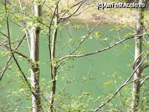 [P03] Lacul mai clar vazut.  » foto by liviu49
 - 
<span class="allrVoted glyphicon glyphicon-heart hidden" id="av679077"></span>
<a class="m-l-10 hidden" id="sv679077" onclick="voting_Foto_DelVot(,679077,1790)" role="button">șterge vot <span class="glyphicon glyphicon-remove"></span></a>
<a id="v9679077" class=" c-red"  onclick="voting_Foto_SetVot(679077)" role="button"><span class="glyphicon glyphicon-heart-empty"></span> <b>LIKE</b> = Votează poza</a> <img class="hidden"  id="f679077W9" src="/imagini/loader.gif" border="0" /><span class="AjErrMes hidden" id="e679077ErM"></span>