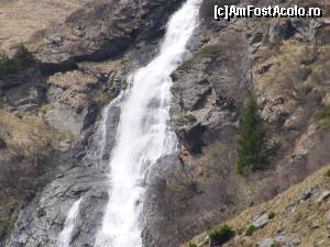 [P34]  -- <small>// FĂRĂ DESCRIERE</small> » foto by liviu49
 - 
<span class="allrVoted glyphicon glyphicon-heart hidden" id="av679128"></span>
<a class="m-l-10 hidden" id="sv679128" onclick="voting_Foto_DelVot(,679128,1790)" role="button">șterge vot <span class="glyphicon glyphicon-remove"></span></a>
<a id="v9679128" class=" c-red"  onclick="voting_Foto_SetVot(679128)" role="button"><span class="glyphicon glyphicon-heart-empty"></span> <b>LIKE</b> = Votează poza</a> <img class="hidden"  id="f679128W9" src="/imagini/loader.gif" border="0" /><span class="AjErrMes hidden" id="e679128ErM"></span>