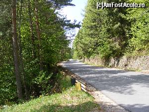 [P07] Drumul pe care ne vom continua urcusul la tunel.  » foto by liviu49
 - 
<span class="allrVoted glyphicon glyphicon-heart hidden" id="av679081"></span>
<a class="m-l-10 hidden" id="sv679081" onclick="voting_Foto_DelVot(,679081,1790)" role="button">șterge vot <span class="glyphicon glyphicon-remove"></span></a>
<a id="v9679081" class=" c-red"  onclick="voting_Foto_SetVot(679081)" role="button"><span class="glyphicon glyphicon-heart-empty"></span> <b>LIKE</b> = Votează poza</a> <img class="hidden"  id="f679081W9" src="/imagini/loader.gif" border="0" /><span class="AjErrMes hidden" id="e679081ErM"></span>