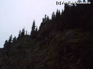 [P18] Si natura impresionanta. Te simti mic si neinsemnat vazand asa ceva.  » foto by vega06
 - 
<span class="allrVoted glyphicon glyphicon-heart hidden" id="av570956"></span>
<a class="m-l-10 hidden" id="sv570956" onclick="voting_Foto_DelVot(,570956,1790)" role="button">șterge vot <span class="glyphicon glyphicon-remove"></span></a>
<a id="v9570956" class=" c-red"  onclick="voting_Foto_SetVot(570956)" role="button"><span class="glyphicon glyphicon-heart-empty"></span> <b>LIKE</b> = Votează poza</a> <img class="hidden"  id="f570956W9" src="/imagini/loader.gif" border="0" /><span class="AjErrMes hidden" id="e570956ErM"></span>