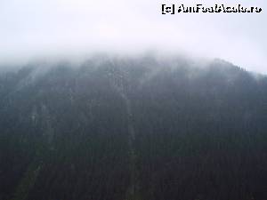 [P09] Dar tot urcam si se pare ca o sa cam avem probleme cu ceata.  » foto by vega06
 - 
<span class="allrVoted glyphicon glyphicon-heart hidden" id="av570947"></span>
<a class="m-l-10 hidden" id="sv570947" onclick="voting_Foto_DelVot(,570947,1790)" role="button">șterge vot <span class="glyphicon glyphicon-remove"></span></a>
<a id="v9570947" class=" c-red"  onclick="voting_Foto_SetVot(570947)" role="button"><span class="glyphicon glyphicon-heart-empty"></span> <b>LIKE</b> = Votează poza</a> <img class="hidden"  id="f570947W9" src="/imagini/loader.gif" border="0" /><span class="AjErrMes hidden" id="e570947ErM"></span>