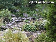 [P06] drumul spre cascada » foto by andre386
 - 
<span class="allrVoted glyphicon glyphicon-heart hidden" id="av32745"></span>
<a class="m-l-10 hidden" id="sv32745" onclick="voting_Foto_DelVot(,32745,1790)" role="button">șterge vot <span class="glyphicon glyphicon-remove"></span></a>
<a id="v932745" class=" c-red"  onclick="voting_Foto_SetVot(32745)" role="button"><span class="glyphicon glyphicon-heart-empty"></span> <b>LIKE</b> = Votează poza</a> <img class="hidden"  id="f32745W9" src="/imagini/loader.gif" border="0" /><span class="AjErrMes hidden" id="e32745ErM"></span>