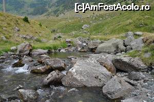 [P17] Incursiune pe Transfăgărășan.  » foto by tata123 🔱
 - 
<span class="allrVoted glyphicon glyphicon-heart hidden" id="av702260"></span>
<a class="m-l-10 hidden" id="sv702260" onclick="voting_Foto_DelVot(,702260,1790)" role="button">șterge vot <span class="glyphicon glyphicon-remove"></span></a>
<a id="v9702260" class=" c-red"  onclick="voting_Foto_SetVot(702260)" role="button"><span class="glyphicon glyphicon-heart-empty"></span> <b>LIKE</b> = Votează poza</a> <img class="hidden"  id="f702260W9" src="/imagini/loader.gif" border="0" /><span class="AjErrMes hidden" id="e702260ErM"></span>