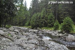 [P02] raul Capra » foto by raly
 - 
<span class="allrVoted glyphicon glyphicon-heart hidden" id="av667092"></span>
<a class="m-l-10 hidden" id="sv667092" onclick="voting_Foto_DelVot(,667092,1790)" role="button">șterge vot <span class="glyphicon glyphicon-remove"></span></a>
<a id="v9667092" class=" c-red"  onclick="voting_Foto_SetVot(667092)" role="button"><span class="glyphicon glyphicon-heart-empty"></span> <b>LIKE</b> = Votează poza</a> <img class="hidden"  id="f667092W9" src="/imagini/loader.gif" border="0" /><span class="AjErrMes hidden" id="e667092ErM"></span>