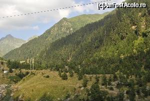 [P03]  -- <small>// FĂRĂ DESCRIERE</small> » foto by raly
 - 
<span class="allrVoted glyphicon glyphicon-heart hidden" id="av667094"></span>
<a class="m-l-10 hidden" id="sv667094" onclick="voting_Foto_DelVot(,667094,1790)" role="button">șterge vot <span class="glyphicon glyphicon-remove"></span></a>
<a id="v9667094" class=" c-red"  onclick="voting_Foto_SetVot(667094)" role="button"><span class="glyphicon glyphicon-heart-empty"></span> <b>LIKE</b> = Votează poza</a> <img class="hidden"  id="f667094W9" src="/imagini/loader.gif" border="0" /><span class="AjErrMes hidden" id="e667094ErM"></span>