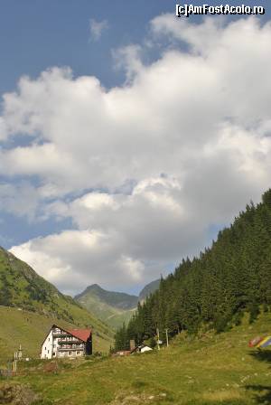 [P06]  -- <small>// FĂRĂ DESCRIERE</small> » foto by raly
 - 
<span class="allrVoted glyphicon glyphicon-heart hidden" id="av667098"></span>
<a class="m-l-10 hidden" id="sv667098" onclick="voting_Foto_DelVot(,667098,1790)" role="button">șterge vot <span class="glyphicon glyphicon-remove"></span></a>
<a id="v9667098" class=" c-red"  onclick="voting_Foto_SetVot(667098)" role="button"><span class="glyphicon glyphicon-heart-empty"></span> <b>LIKE</b> = Votează poza</a> <img class="hidden"  id="f667098W9" src="/imagini/loader.gif" border="0" /><span class="AjErrMes hidden" id="e667098ErM"></span>