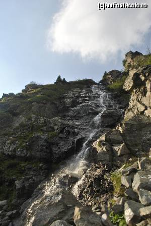 [P09]  -- <small>// FĂRĂ DESCRIERE</small> » foto by raly
 - 
<span class="allrVoted glyphicon glyphicon-heart hidden" id="av667101"></span>
<a class="m-l-10 hidden" id="sv667101" onclick="voting_Foto_DelVot(,667101,1790)" role="button">șterge vot <span class="glyphicon glyphicon-remove"></span></a>
<a id="v9667101" class=" c-red"  onclick="voting_Foto_SetVot(667101)" role="button"><span class="glyphicon glyphicon-heart-empty"></span> <b>LIKE</b> = Votează poza</a> <img class="hidden"  id="f667101W9" src="/imagini/loader.gif" border="0" /><span class="AjErrMes hidden" id="e667101ErM"></span>