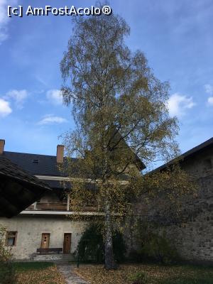 [P21] Falnic, de staja...  » foto by RossoNerro
 - 
<span class="allrVoted glyphicon glyphicon-heart hidden" id="av924488"></span>
<a class="m-l-10 hidden" id="sv924488" onclick="voting_Foto_DelVot(,924488,1792)" role="button">șterge vot <span class="glyphicon glyphicon-remove"></span></a>
<a id="v9924488" class=" c-red"  onclick="voting_Foto_SetVot(924488)" role="button"><span class="glyphicon glyphicon-heart-empty"></span> <b>LIKE</b> = Votează poza</a> <img class="hidden"  id="f924488W9" src="/imagini/loader.gif" border="0" /><span class="AjErrMes hidden" id="e924488ErM"></span>