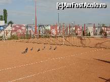 [P33] Si porumbeii asteptau cuminti o partida de tenis » foto by dananecula*
 - 
<span class="allrVoted glyphicon glyphicon-heart hidden" id="av162386"></span>
<a class="m-l-10 hidden" id="sv162386" onclick="voting_Foto_DelVot(,162386,1798)" role="button">șterge vot <span class="glyphicon glyphicon-remove"></span></a>
<a id="v9162386" class=" c-red"  onclick="voting_Foto_SetVot(162386)" role="button"><span class="glyphicon glyphicon-heart-empty"></span> <b>LIKE</b> = Votează poza</a> <img class="hidden"  id="f162386W9" src="/imagini/loader.gif" border="0" /><span class="AjErrMes hidden" id="e162386ErM"></span>