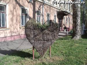[P10]  -- <small>// FĂRĂ DESCRIERE</small> » foto by AleDia
 - 
<span class="allrVoted glyphicon glyphicon-heart hidden" id="av564220"></span>
<a class="m-l-10 hidden" id="sv564220" onclick="voting_Foto_DelVot(,564220,1812)" role="button">șterge vot <span class="glyphicon glyphicon-remove"></span></a>
<a id="v9564220" class=" c-red"  onclick="voting_Foto_SetVot(564220)" role="button"><span class="glyphicon glyphicon-heart-empty"></span> <b>LIKE</b> = Votează poza</a> <img class="hidden"  id="f564220W9" src="/imagini/loader.gif" border="0" /><span class="AjErrMes hidden" id="e564220ErM"></span>