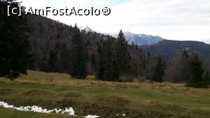 [P21]  -- <small>// FĂRĂ DESCRIERE</small> » foto by silvia tudoran
 - 
<span class="allrVoted glyphicon glyphicon-heart hidden" id="av1031193"></span>
<a class="m-l-10 hidden" id="sv1031193" onclick="voting_Foto_DelVot(,1031193,1823)" role="button">șterge vot <span class="glyphicon glyphicon-remove"></span></a>
<a id="v91031193" class=" c-red"  onclick="voting_Foto_SetVot(1031193)" role="button"><span class="glyphicon glyphicon-heart-empty"></span> <b>LIKE</b> = Votează poza</a> <img class="hidden"  id="f1031193W9" src="/imagini/loader.gif" border="0" /><span class="AjErrMes hidden" id="e1031193ErM"></span>