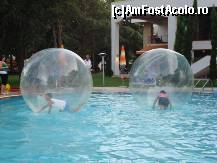 [P22] Experiente acvatice in piscina de la Flamingo Grand Hotel din Albena !!! Si nu nu m-am incumetat sa ma bag si eu la chestia asta !!! » foto by RobertCodescu
 - 
<span class="allrVoted glyphicon glyphicon-heart hidden" id="av193802"></span>
<a class="m-l-10 hidden" id="sv193802" onclick="voting_Foto_DelVot(,193802,1831)" role="button">șterge vot <span class="glyphicon glyphicon-remove"></span></a>
<a id="v9193802" class=" c-red"  onclick="voting_Foto_SetVot(193802)" role="button"><span class="glyphicon glyphicon-heart-empty"></span> <b>LIKE</b> = Votează poza</a> <img class="hidden"  id="f193802W9" src="/imagini/loader.gif" border="0" /><span class="AjErrMes hidden" id="e193802ErM"></span>