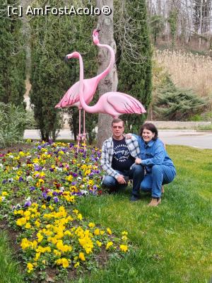 [P02] Păsările flamingo, strajerii hotelului! » foto by Ion Olteanu
 - 
<span class="allrVoted glyphicon glyphicon-heart hidden" id="av1355243"></span>
<a class="m-l-10 hidden" id="sv1355243" onclick="voting_Foto_DelVot(,1355243,1831)" role="button">șterge vot <span class="glyphicon glyphicon-remove"></span></a>
<a id="v91355243" class=" c-red"  onclick="voting_Foto_SetVot(1355243)" role="button"><span class="glyphicon glyphicon-heart-empty"></span> <b>LIKE</b> = Votează poza</a> <img class="hidden"  id="f1355243W9" src="/imagini/loader.gif" border="0" /><span class="AjErrMes hidden" id="e1355243ErM"></span>