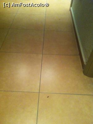 [P03] chiar daca fotografia este prost facuta, se observa alti 2 gandaci pe hol...  » foto by mamii
 - 
<span class="allrVoted glyphicon glyphicon-heart hidden" id="av773603"></span>
<a class="m-l-10 hidden" id="sv773603" onclick="voting_Foto_DelVot(,773603,1831)" role="button">șterge vot <span class="glyphicon glyphicon-remove"></span></a>
<a id="v9773603" class=" c-red"  onclick="voting_Foto_SetVot(773603)" role="button"><span class="glyphicon glyphicon-heart-empty"></span> <b>LIKE</b> = Votează poza</a> <img class="hidden"  id="f773603W9" src="/imagini/loader.gif" border="0" /><span class="AjErrMes hidden" id="e773603ErM"></span>