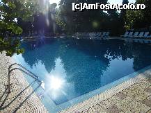 [P04] Piscina, dimineata » foto by petiveres
 - 
<span class="allrVoted glyphicon glyphicon-heart hidden" id="av247840"></span>
<a class="m-l-10 hidden" id="sv247840" onclick="voting_Foto_DelVot(,247840,1857)" role="button">șterge vot <span class="glyphicon glyphicon-remove"></span></a>
<a id="v9247840" class=" c-red"  onclick="voting_Foto_SetVot(247840)" role="button"><span class="glyphicon glyphicon-heart-empty"></span> <b>LIKE</b> = Votează poza</a> <img class="hidden"  id="f247840W9" src="/imagini/loader.gif" border="0" /><span class="AjErrMes hidden" id="e247840ErM"></span>