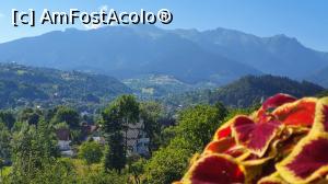[P15] priveliștea de pe terasa restaurantului » foto by meehi
 - 
<span class="allrVoted glyphicon glyphicon-heart hidden" id="av1178439"></span>
<a class="m-l-10 hidden" id="sv1178439" onclick="voting_Foto_DelVot(,1178439,1865)" role="button">șterge vot <span class="glyphicon glyphicon-remove"></span></a>
<a id="v91178439" class=" c-red"  onclick="voting_Foto_SetVot(1178439)" role="button"><span class="glyphicon glyphicon-heart-empty"></span> <b>LIKE</b> = Votează poza</a> <img class="hidden"  id="f1178439W9" src="/imagini/loader.gif" border="0" /><span class="AjErrMes hidden" id="e1178439ErM"></span>