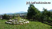 [P07] Curtea e mare, dar neamenajata. Se lauda ca vor avea o piscina pe viitor » foto by brugner
 - 
<span class="allrVoted glyphicon glyphicon-heart hidden" id="av293619"></span>
<a class="m-l-10 hidden" id="sv293619" onclick="voting_Foto_DelVot(,293619,1865)" role="button">șterge vot <span class="glyphicon glyphicon-remove"></span></a>
<a id="v9293619" class=" c-red"  onclick="voting_Foto_SetVot(293619)" role="button"><span class="glyphicon glyphicon-heart-empty"></span> <b>LIKE</b> = Votează poza</a> <img class="hidden"  id="f293619W9" src="/imagini/loader.gif" border="0" /><span class="AjErrMes hidden" id="e293619ErM"></span>