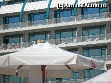 [P03]  -- <small>// FĂRĂ DESCRIERE</small> » foto by Violeta
 - 
<span class="allrVoted glyphicon glyphicon-heart hidden" id="av96103"></span>
<a class="m-l-10 hidden" id="sv96103" onclick="voting_Foto_DelVot(,96103,1869)" role="button">șterge vot <span class="glyphicon glyphicon-remove"></span></a>
<a id="v996103" class=" c-red"  onclick="voting_Foto_SetVot(96103)" role="button"><span class="glyphicon glyphicon-heart-empty"></span> <b>LIKE</b> = Votează poza</a> <img class="hidden"  id="f96103W9" src="/imagini/loader.gif" border="0" /><span class="AjErrMes hidden" id="e96103ErM"></span>